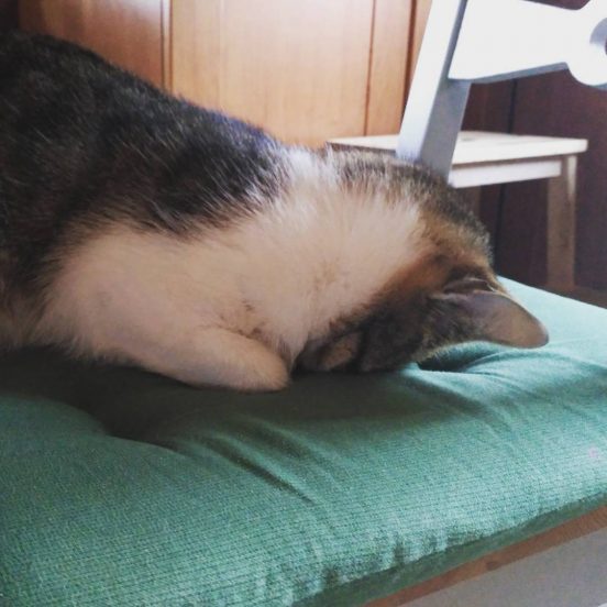 #monday